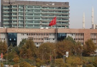 Kediye ciğer teslimi gibi!!!