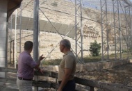 Kelaynaklar için Fırat ve Dicle havzasında yeni yaşam alanları oluşturuluyor