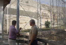 Kelaynaklar için Fırat ve Dicle havzasında yeni yaşam alanları oluşturuluyor