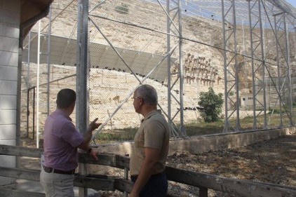 Kelaynaklar için Fırat ve Dicle havzasında yeni yaşam alanları oluşturuluyor