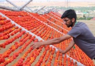 Kent kırmızıya boyanıyor 