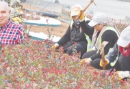 Kentin gelişimi için Peyzaj Master Planı bir an önce hayata geçirilmeli