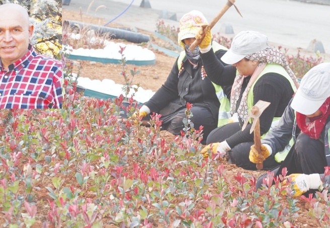 Kentin gelişimi için Peyzaj Master Planı bir an önce hayata geçirilmeli