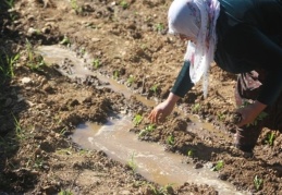 Kentten köye dönüş başladı