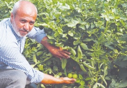 “Keşke daha önceden başlasaydık”