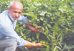 “Keşke daha önceden başlasaydık”