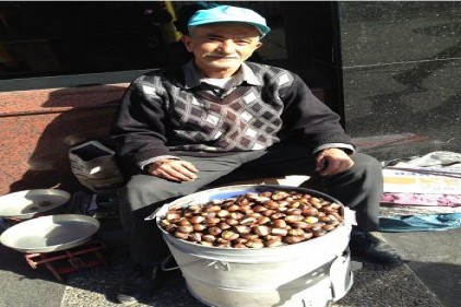Kestane 40 liradan satışa çıktı