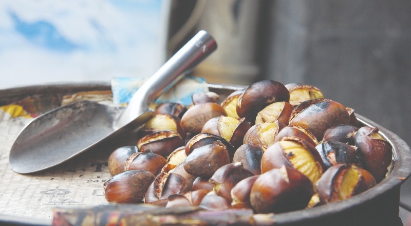 Kestane kebap:100 TL