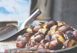 Kestane kebap:100 TL