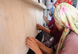 Kıl halılar, akrep ve yılan gibi zehirli hayvanlara karşı koruyor