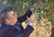 Kilis zeytinyağına 'Berlin Global Olive Oil Awards-2020' yarışmasında altın madalya