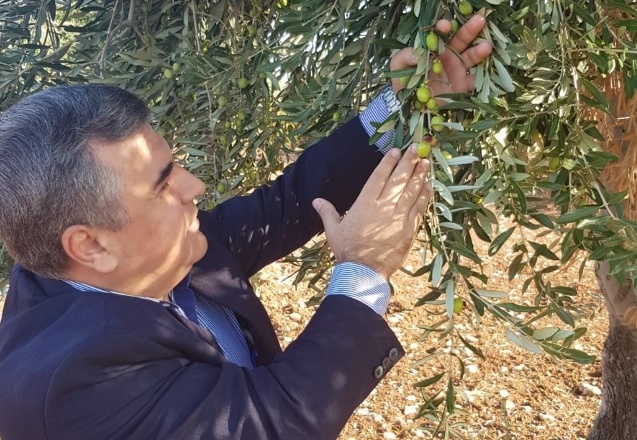 Kilis zeytinyağına 'Berlin Global Olive Oil Awards-2020' yarışmasında altın madalya