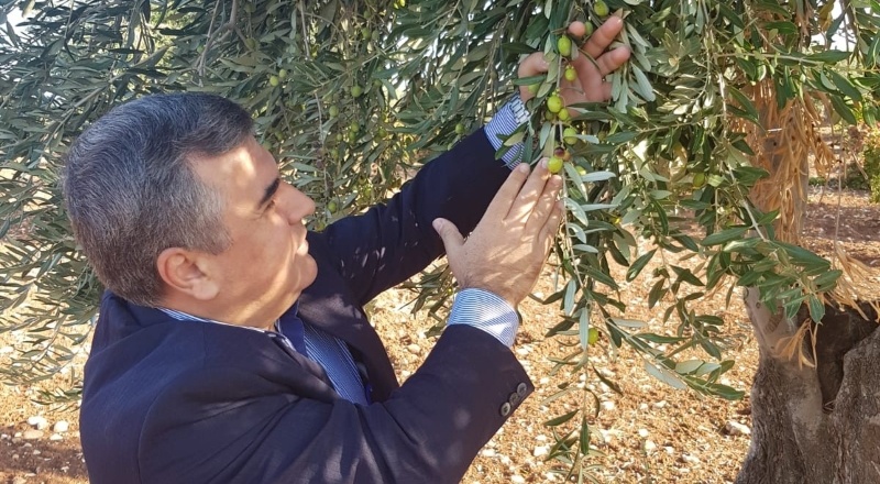 Kilis zeytinyağına 'Berlin Global Olive Oil Awards-2020' yarışmasında altın madalya