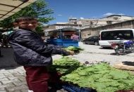 Kilis’in meşhur asma yaprağı piyasaya çıktı