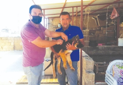 Kilis’te evcil hayvanlara mikro çip takıldı