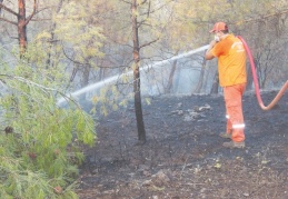 Kilis'teki orman yangını 5 buçuk saatte güçlükle kontrol altına alındı