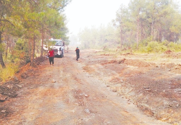 Kilis'teki orman yangını kontrol altına alındı