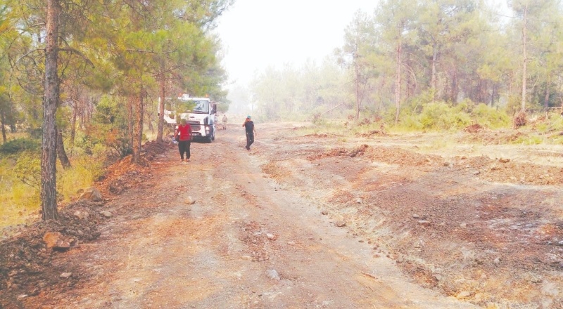Kilis'teki orman yangını kontrol altına alındı