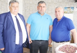 “Kim ne kadar fıstık istiyorsa kilosu 350 liradan satalım”