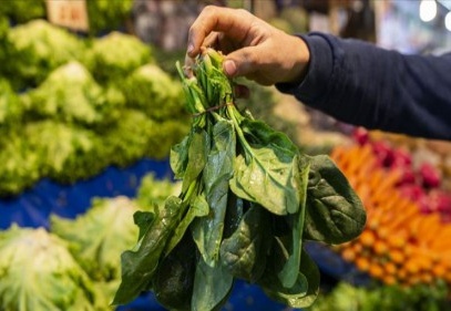 Kimyasal kullanmayan üreticilere 400 lira ödenecek 