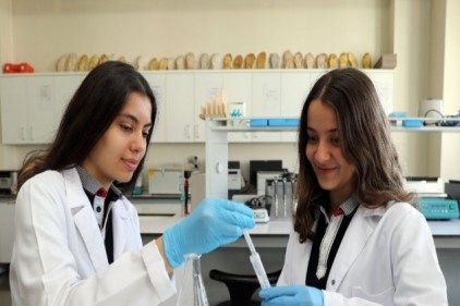 Kimyasalların kullanımı gelişmiş ülkelerde tamamen yasaklandı