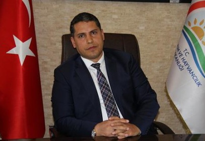 Kinoa bitkisi Çöl-Yak hastaları için umut olabilir