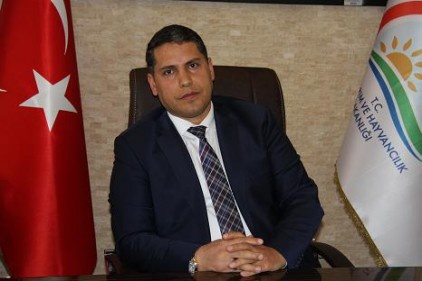 Kinoa bitkisi Çöl-Yak hastaları için umut olabilir