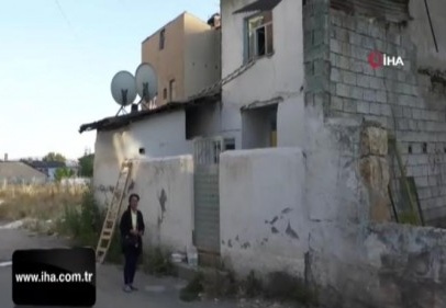 Kiraladığı evde 90 kediye bakıyor