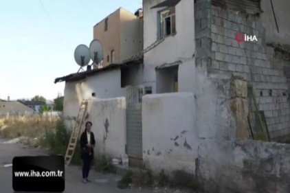 Kiraladığı evde 90 kediye bakıyor