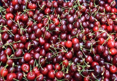 Kiraz borsası Türkiye'de bu köyde kuruluyor