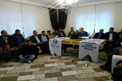 Kiraz üreticisi hayal kırıklığına uğradı