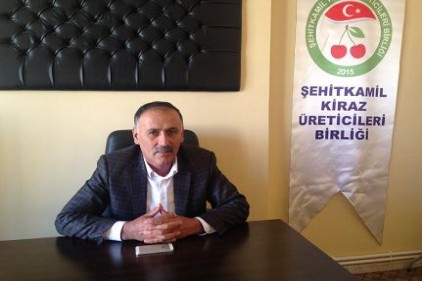 Kiraz üretimi geçen yılı üçe katlayacak