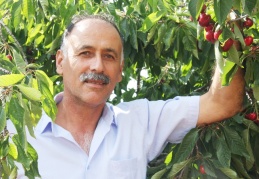 Kirazlarımız dünyanın 40’a yakın ülkesine ihraç ediliyor