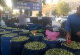 Kırılmış, ayıklanmış zeytin 15 lira