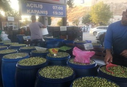 Kırılmış, ayıklanmış zeytin 15 lira