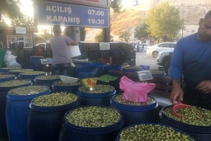 Kırılmış, ayıklanmış zeytin 15 lira