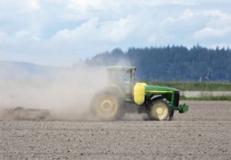 Kirletilmiş toprakta yetişen besinler ölüme neden oluyor