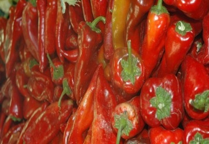 Kırmızı biberde rekolte yarı yarıya düştü