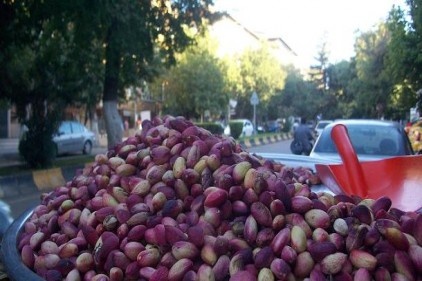 Kırmızı Mantolu Hanım geldi