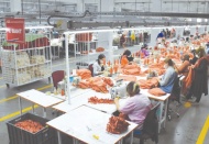 Kısa çalışma ödeneği ve nakdi ücret desteği verilen kişi sayısı 8 milyon