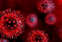 Kişilerin yüzde 70'i şehirlerde