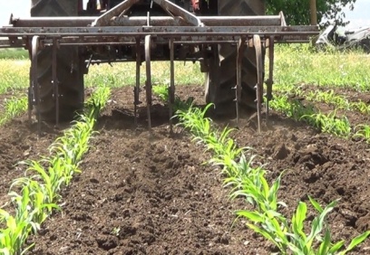 Kısıtlamadan muaf çiftçiler tarladaydı