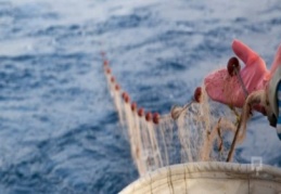 “Kıyılar aşırı av baskısı altında”