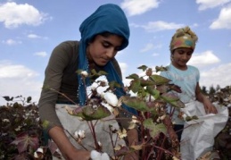 Kız çocuklarının okullaşma oranı yüzde 99’dan 91’e geriledi 