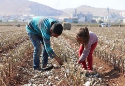 "Kız çocuklarının ölüm oranı daha yüksek"