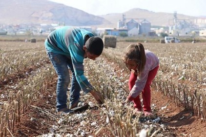 "Kız çocuklarının ölüm oranı daha yüksek"