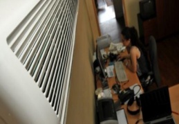 Klima çarpmasına karşı yeşil çay