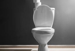 Klozet kapağı açıkken sifon çekmek, hastalık bulaştırabilir