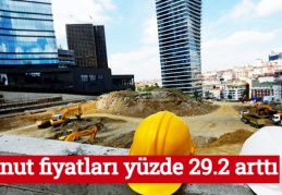 Konut fiyatları yüzde 29.2 arttı