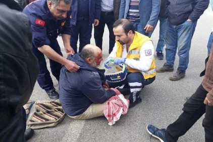 Köpeğe çarpmamak için canını hiçe saydı